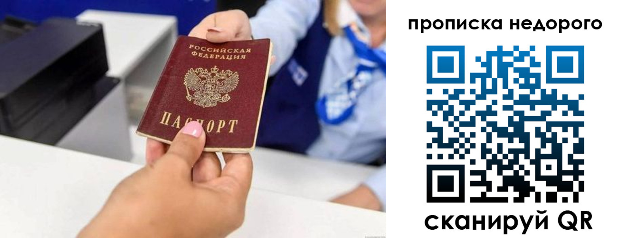 временная регистрация адрес в Светлогорске